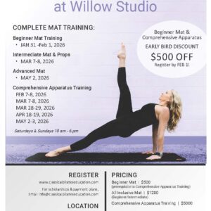 Willow Pilates in Nashville, TN